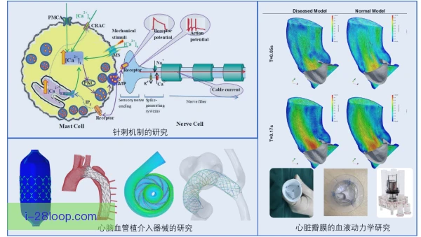 中国房车锦标赛生物力学分析，驾驶姿态影响圈速
